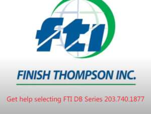 Finish Thompson FTI DB Series pumps